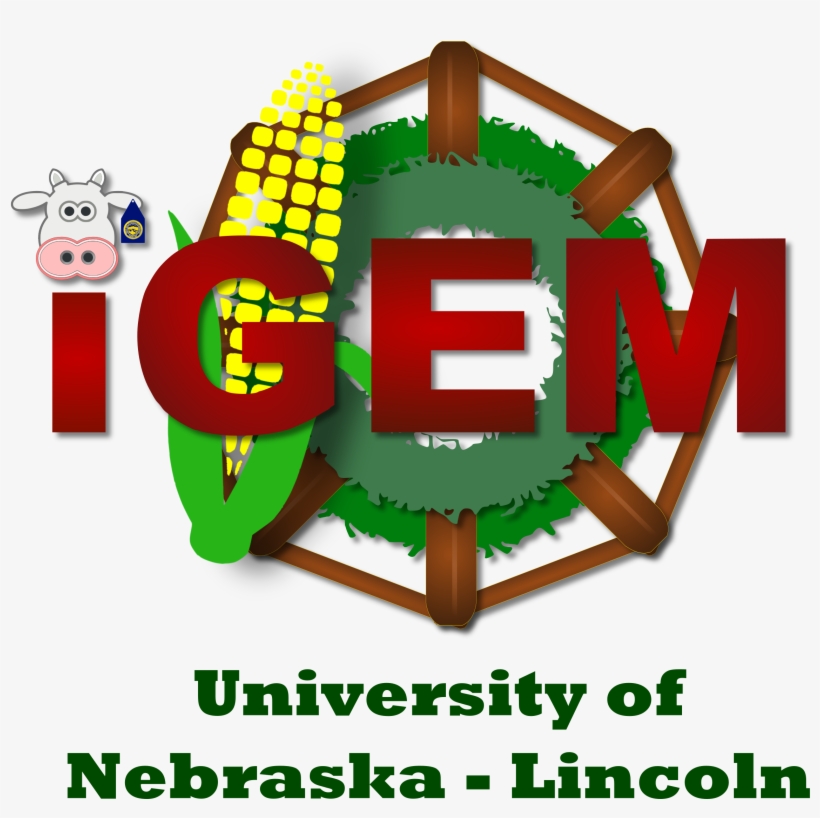 Team - Unebraska-lincoln - Graphic Design, transparent png download