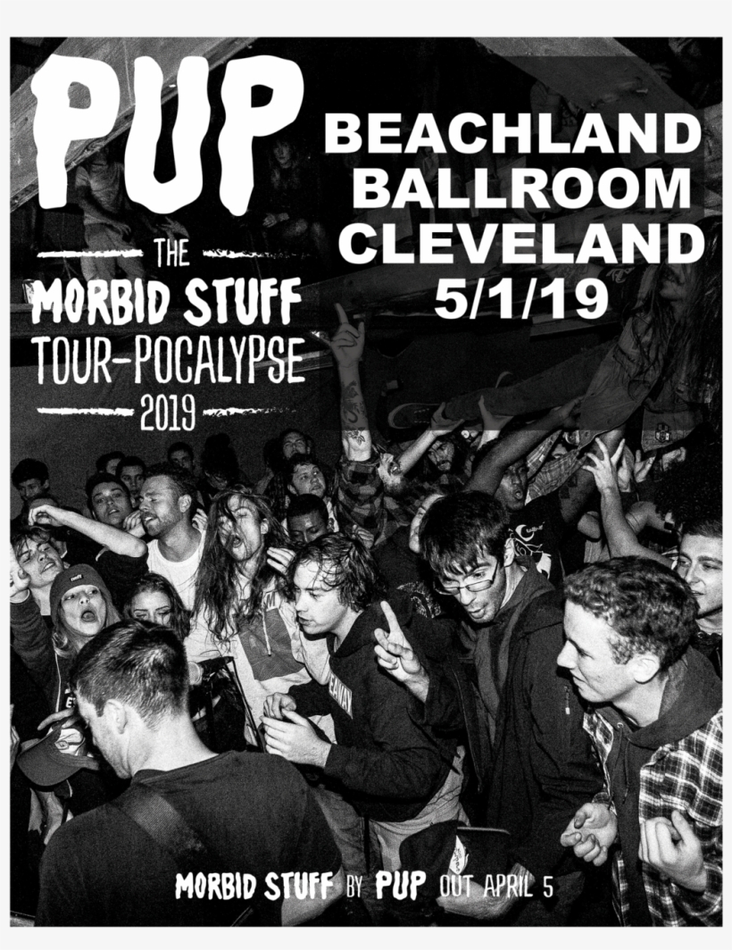 56-og W=2048&h=1365 - Pup Tour, transparent png download