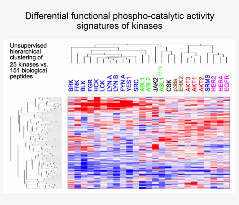 1493146338 Ccmi021 , 2017 04 25 - Number, transparent png download