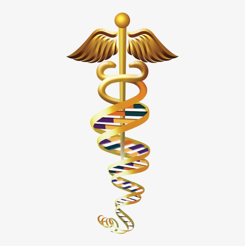 Learn The Sacred Secrets Of The Ancient Indian Scriptures - Human Genetics, transparent png download