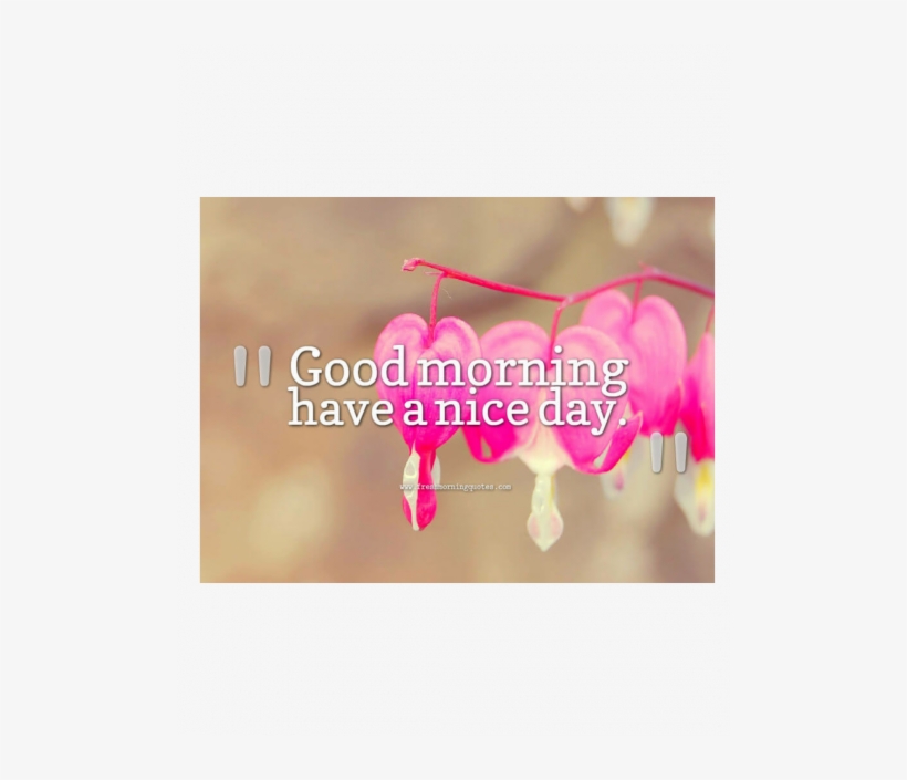 32 Activities - New Wallpaper For Fb Cover, transparent png download