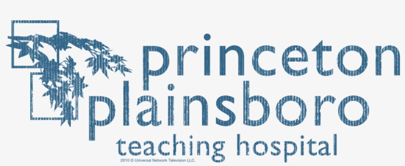 House Princeton Plainsboro Men's Regular Fit T-shirt - Calligraphy, transparent png download
