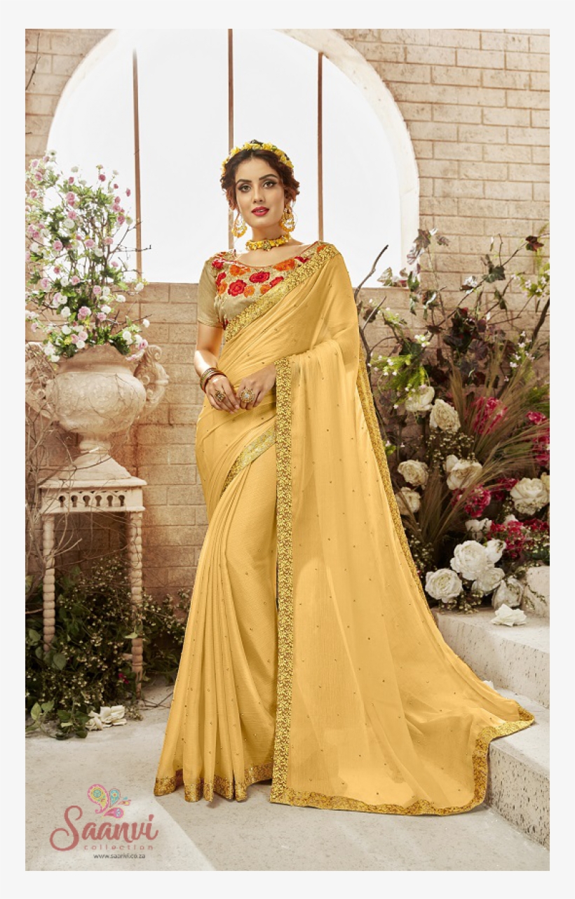 Sari, transparent png download