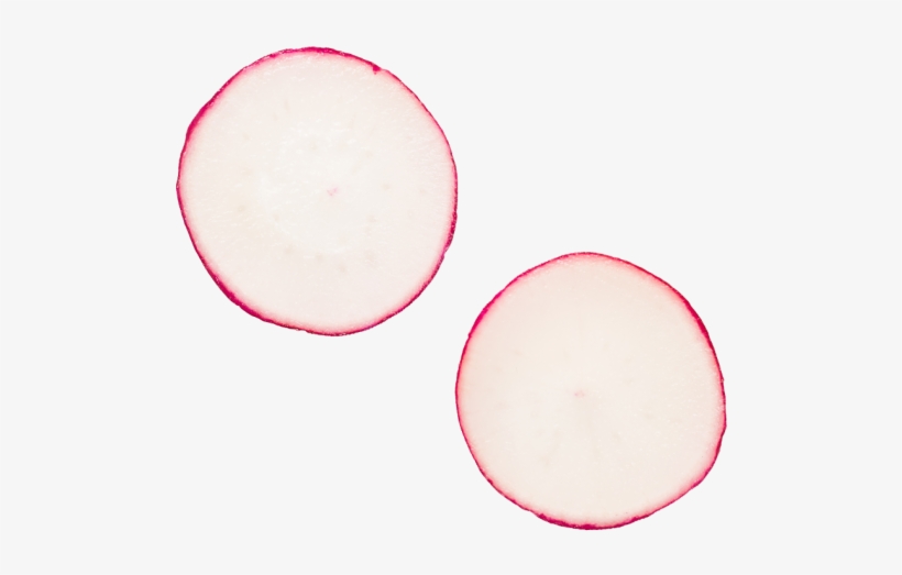 Radish Slice - Circle, transparent png download