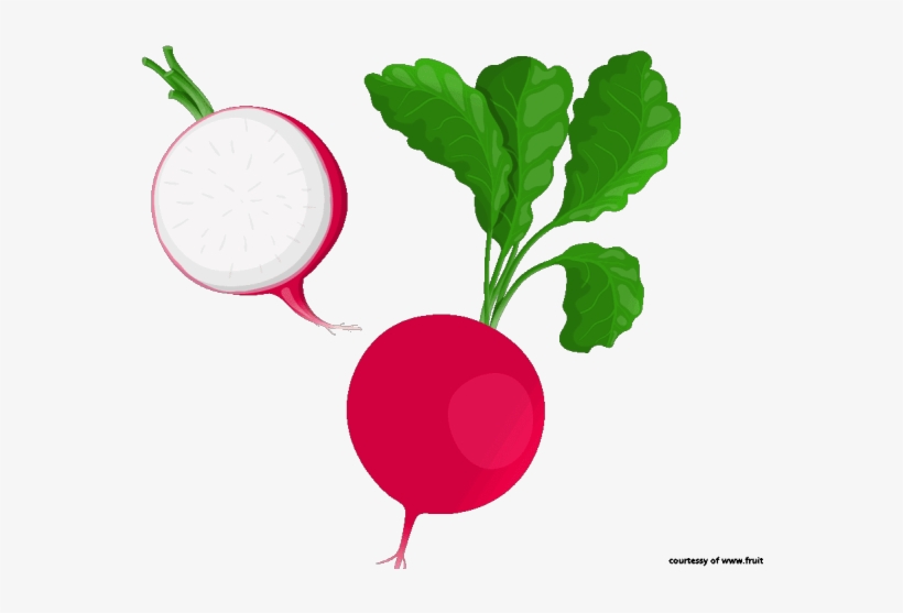 Radish Clipart Beetroot, transparent png download