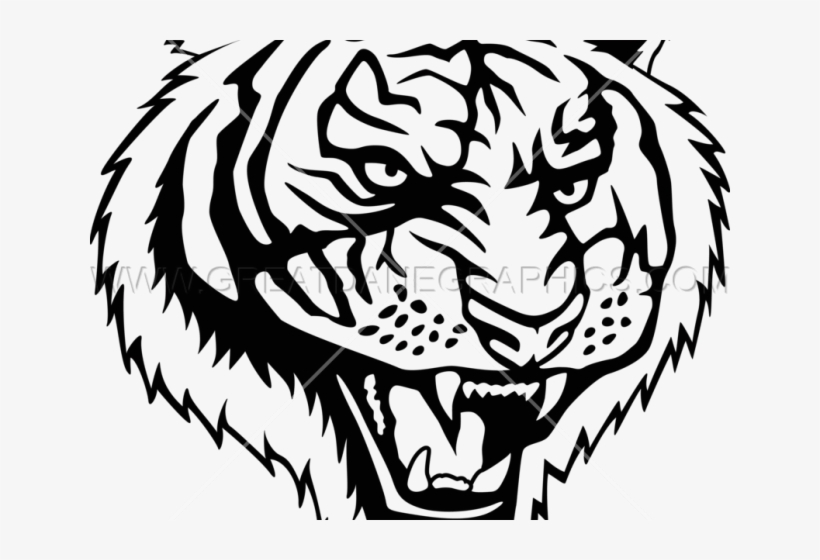 Drawn White Tiger Roaring - Illustration, transparent png download