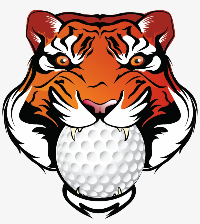 3rd Annual Newton Falls Basketball And Friends Golf - Tiger Football Png, transparent png download