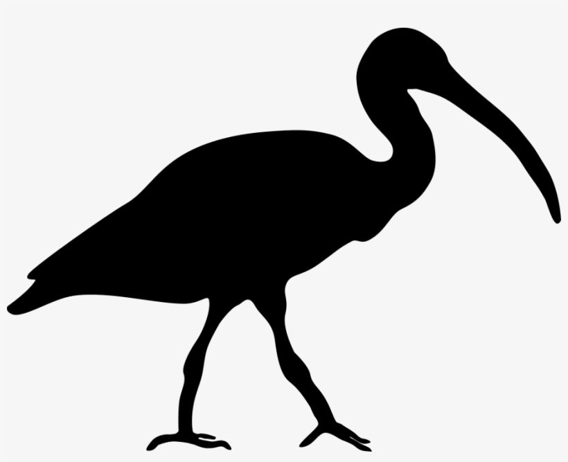 Tswast Commented Aug 12, - Crane-like Bird, transparent png download