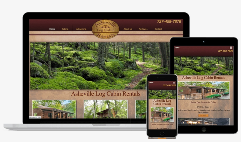 Moss, transparent png download