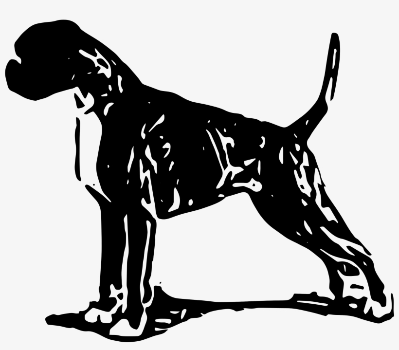 Located In South Eastern Wisconsin, Usa, We Host All-breed - Dalmatian, transparent png download