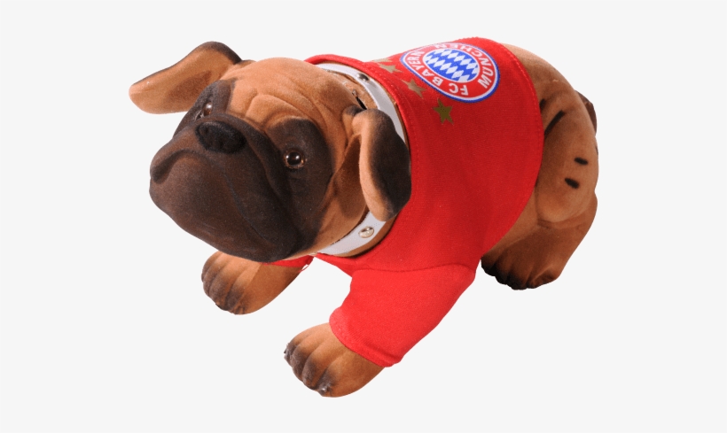 Pug, transparent png download