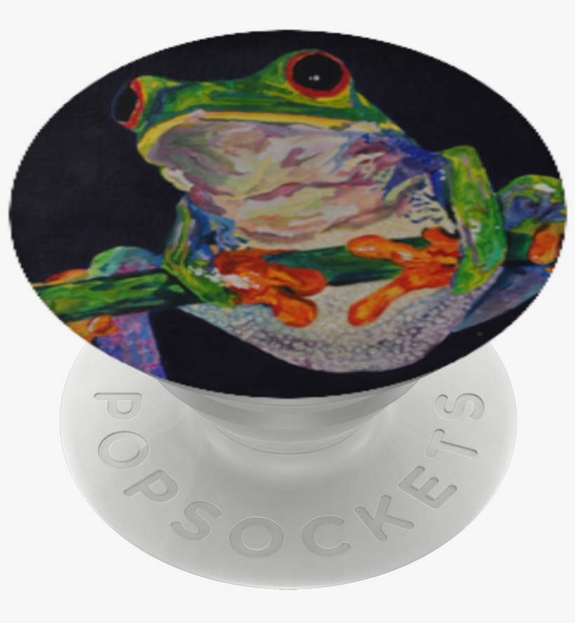 Red-eyed Tree Frog, - Red-eyed Tree Frog, transparent png download