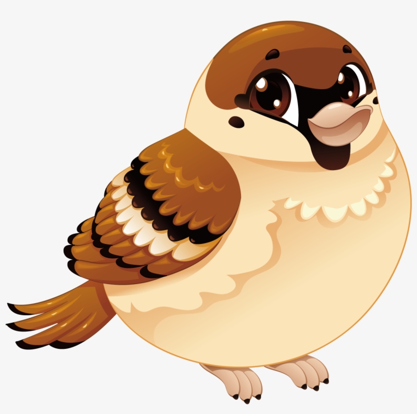 sparrow png picture clipart sparrow bird cartoon png image transparent png free download on seekpng sparrow png picture clipart sparrow