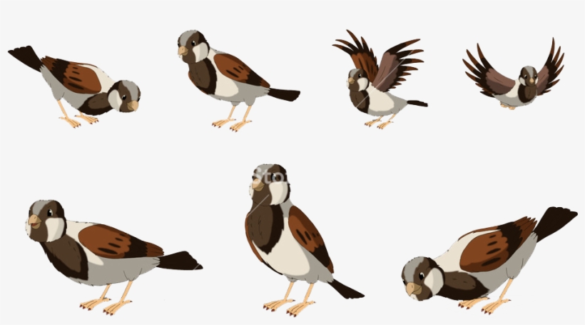 Sparrow Png Free Pic - Eurasia, transparent png download