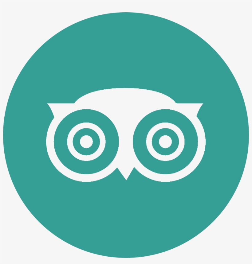 Flickrlogo, Youtubelogo, Instagramlogo, Tripadvisorlogo - Tripadvisor Logo Transparent White, transparent png download