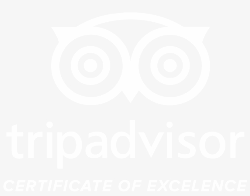 Supported By - Trip Advisor, transparent png download