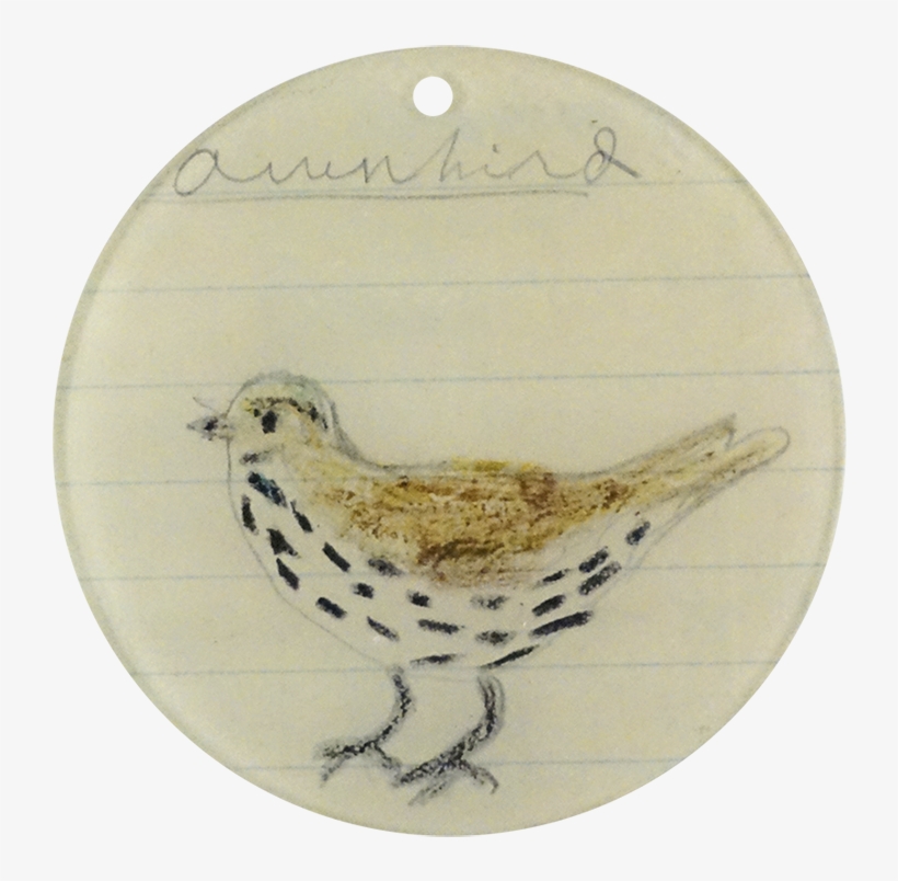 Wren, transparent png download