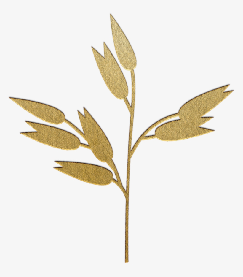 Oats - Sweet Birch, transparent png download