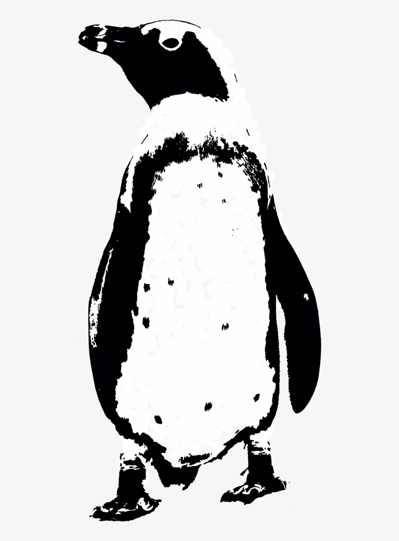 Select Your Celebration Type Below - Illustration, transparent png download