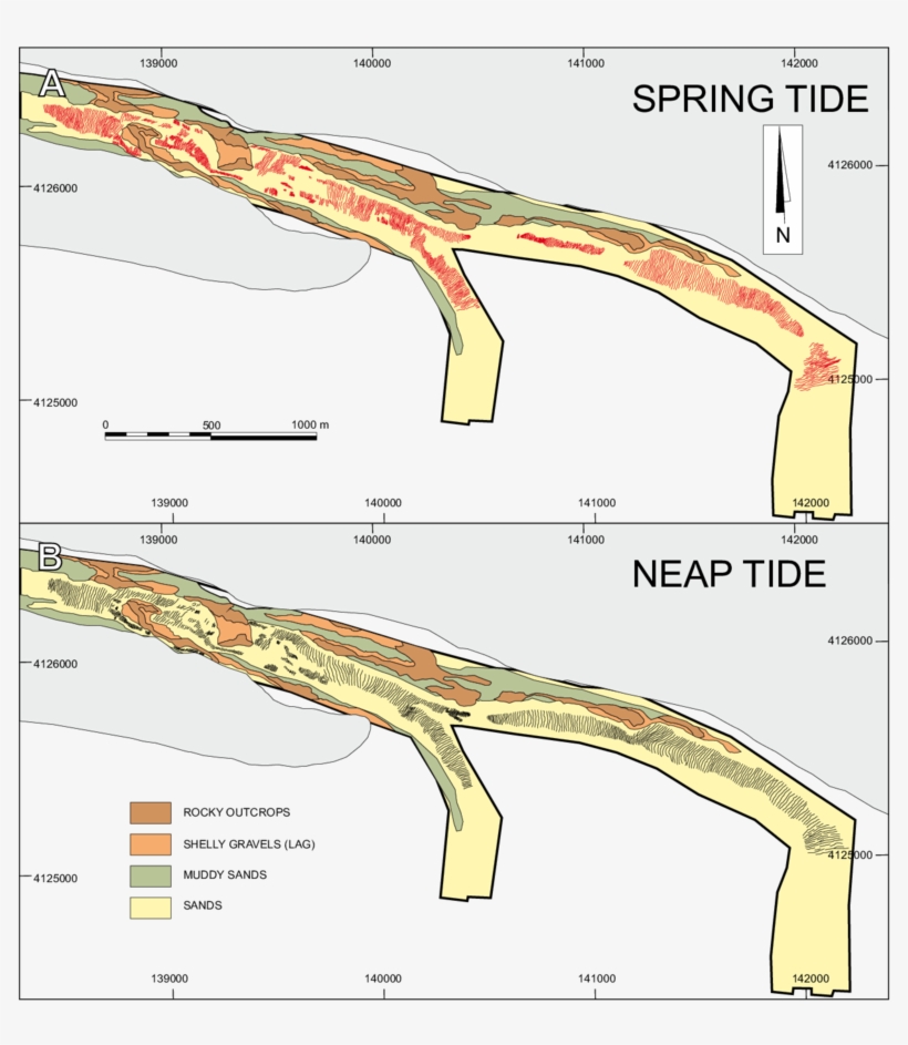 Download Maps Of Bed Distribution Based On Mosaics Of Side-scan ...