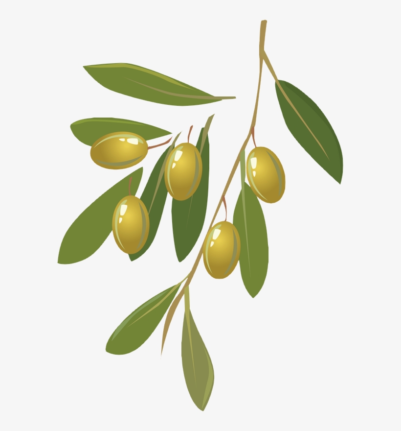 Png Olives Vector, transparent png download