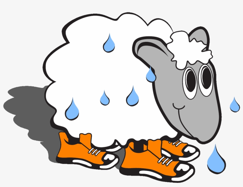 Team Sweaty Sheep - Sweaty Sheep, transparent png download