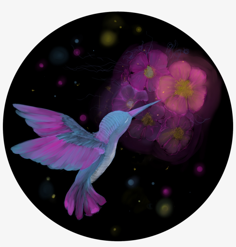 Axios Kiyika Blog - Hummingbird, transparent png download