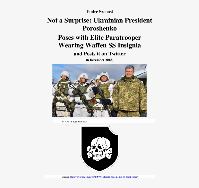 Pdf - Ukraine President Paratroopers, transparent png download