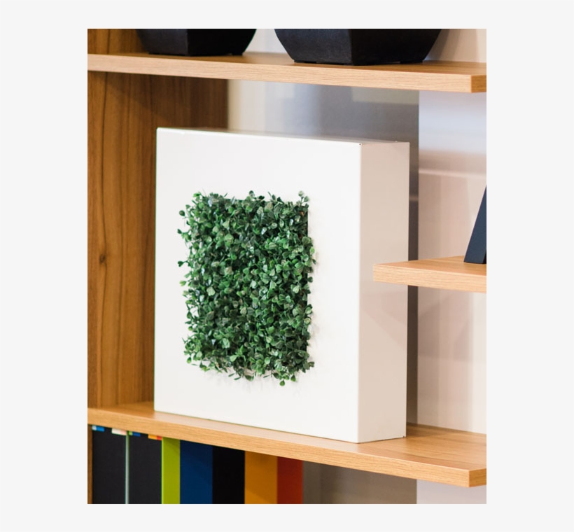 Metallic Wall Box - Plywood, transparent png download