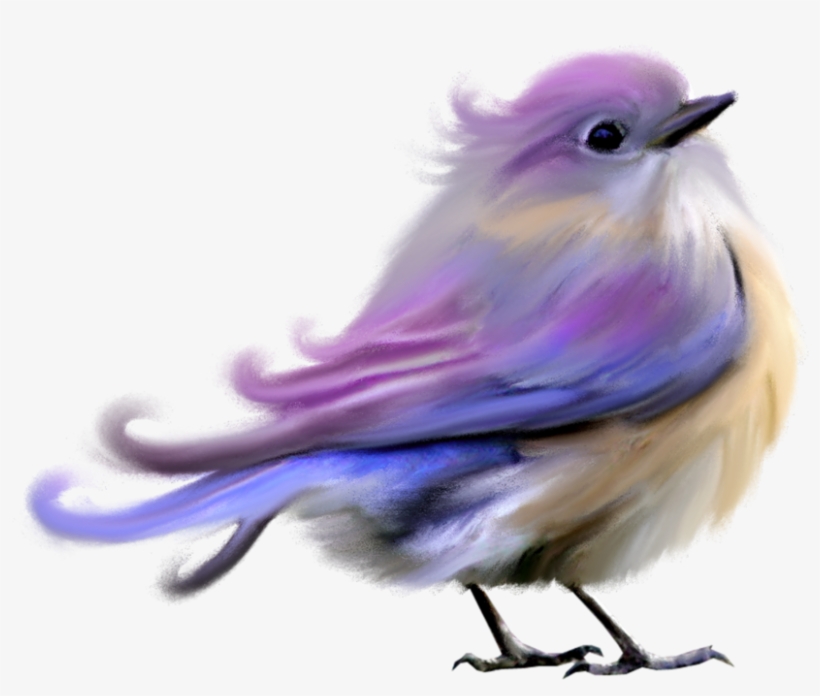Изображение Для Плейкаста - Beautiful Bird Png, transparent png download