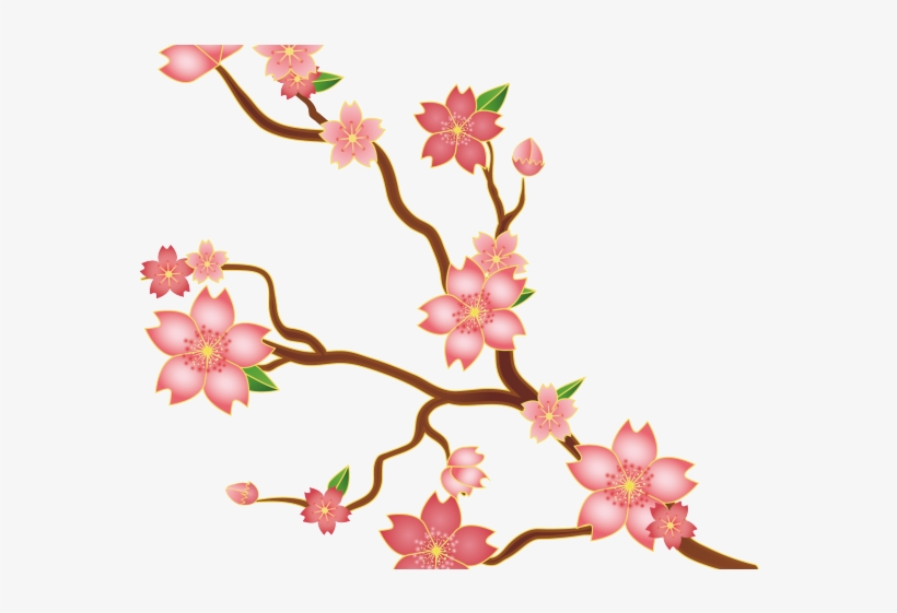 Cherry Blossom Clipart Vector - Illustration, transparent png download