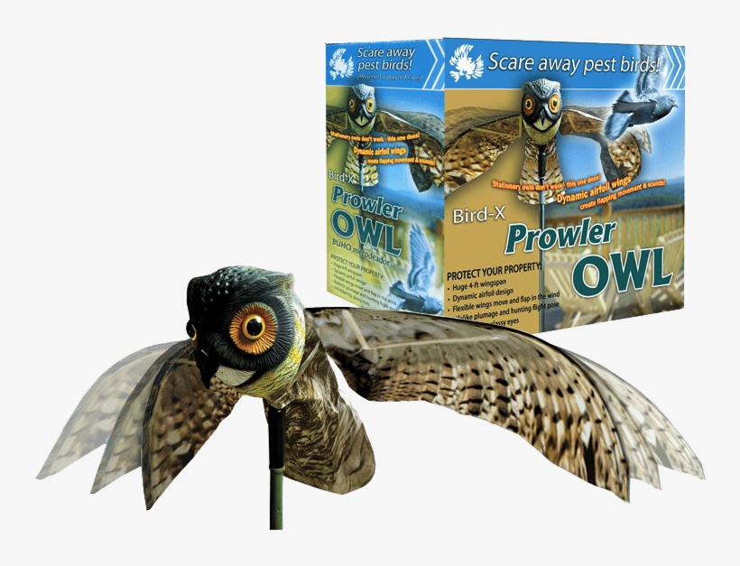 Bird Repellers Birdgard Iberia - Coruja Para Espantar Pombos, transparent png download