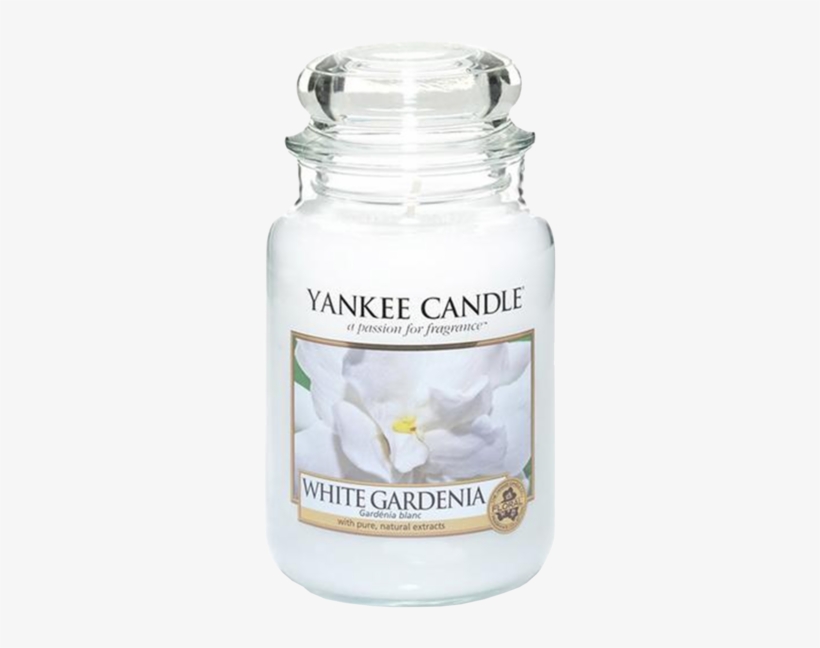 Yankee White Gardenia Candle Classic Jar - Yankee Candle Amazon, transparent png download