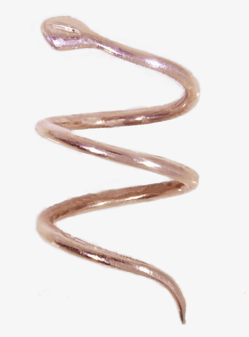 Slender Blind Snake, transparent png download