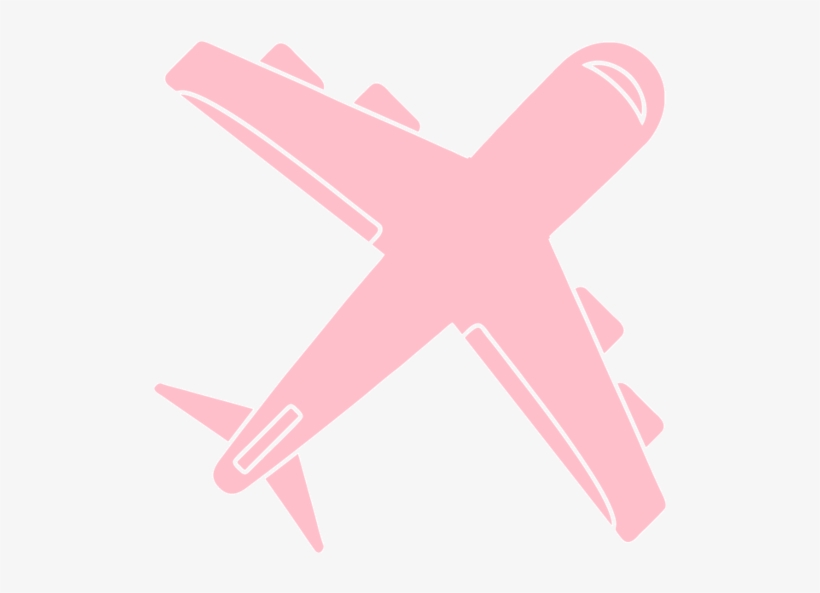 Airplane - Marine Invertebrates, transparent png download