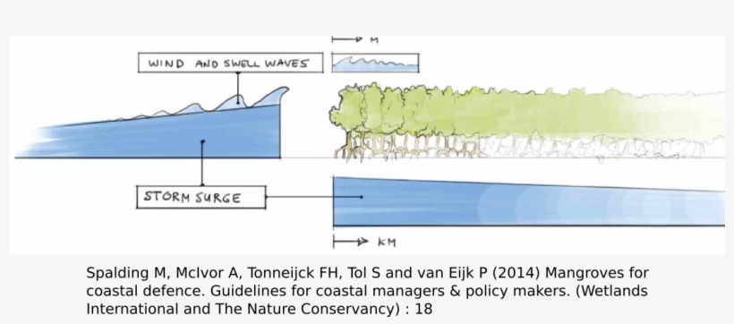 A 2014 Review Of All Existing Research Into The Role - Diagram, transparent png download