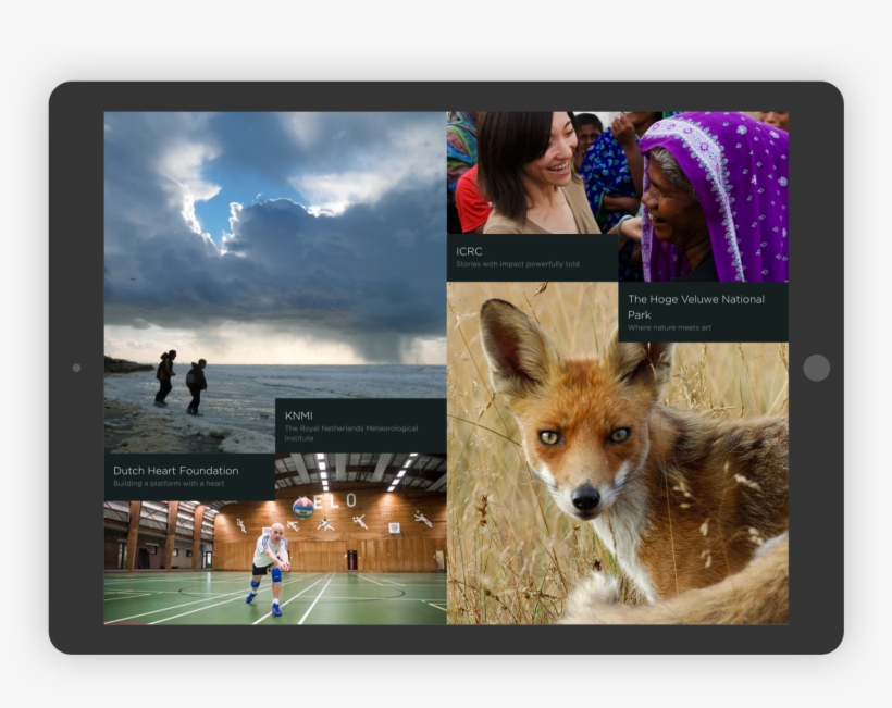 Mangrove-grid - Tablet Computer, transparent png download