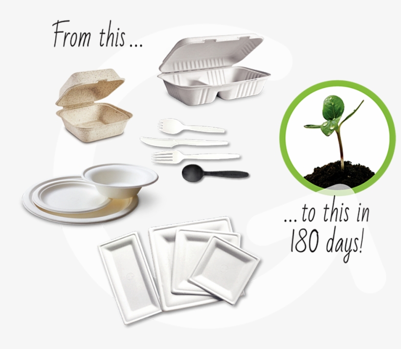 Green Wave Believes A Greener Planet Is A Healthier - Paper, transparent png download