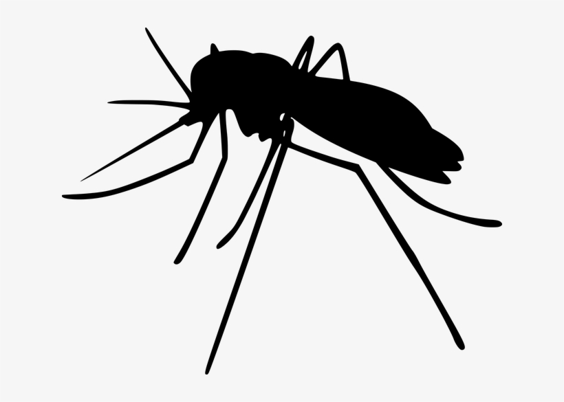 Pintura En Spray En Madrid - Mosquito Silhouette, transparent png download