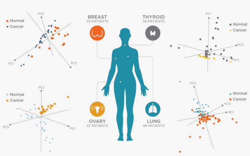 Mass Spec Pen Cancer Detection - Diagram, transparent png download