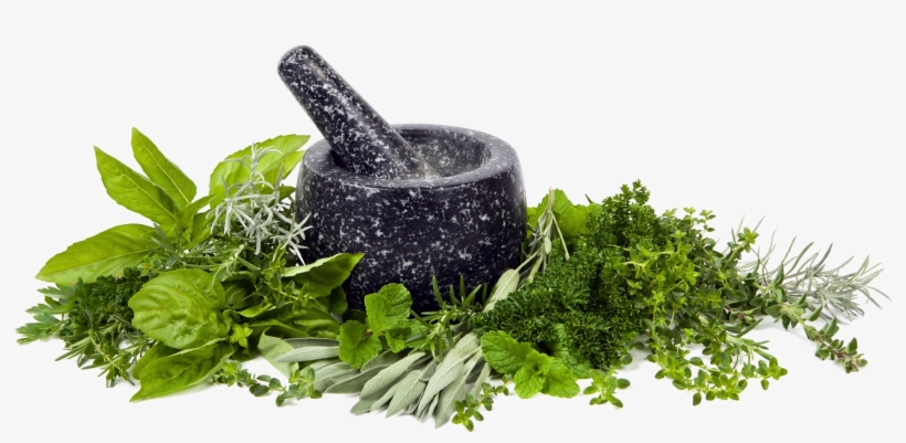 Mortar Transparent Background - Herbs Png Transparent, transparent png download