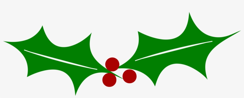 2103 X 750 1 - Branch Of Holly Svg, transparent png download