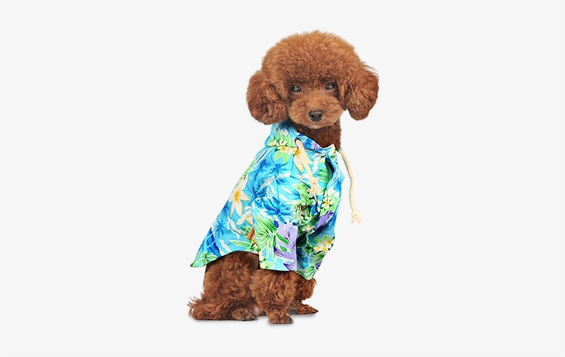Hawaiian Dog Shirt - Toy Poodle, transparent png download