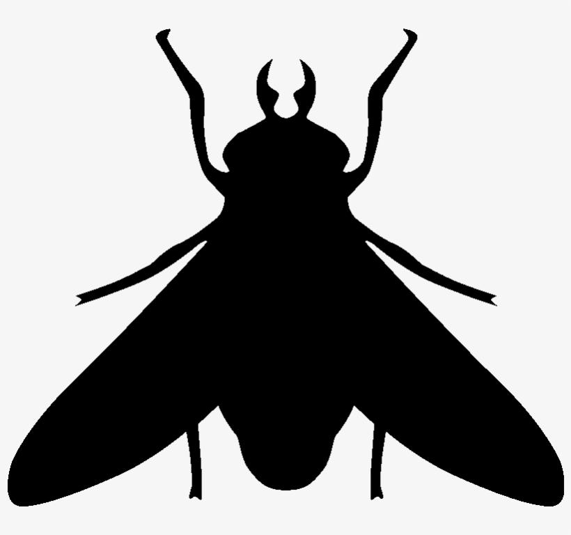 Sticker Une Mouche Ambiance Sticker Si 0813 - Mosca Silhueta Png, transparent png download