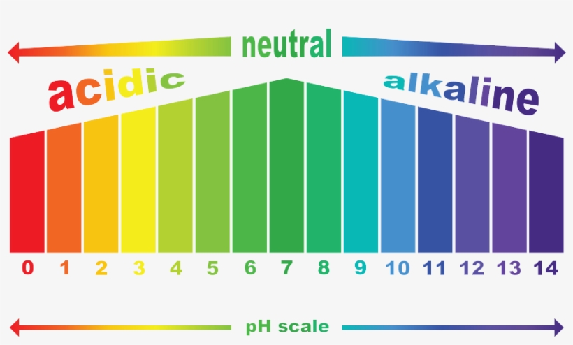 Alkaline Water Generally Has A Ph Level Between 7 And - Ph Scale Unlabeled, transparent png download