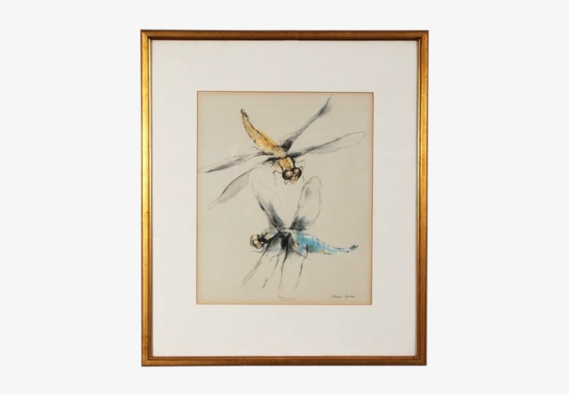 Dragonflies - Picture Frame, transparent png download