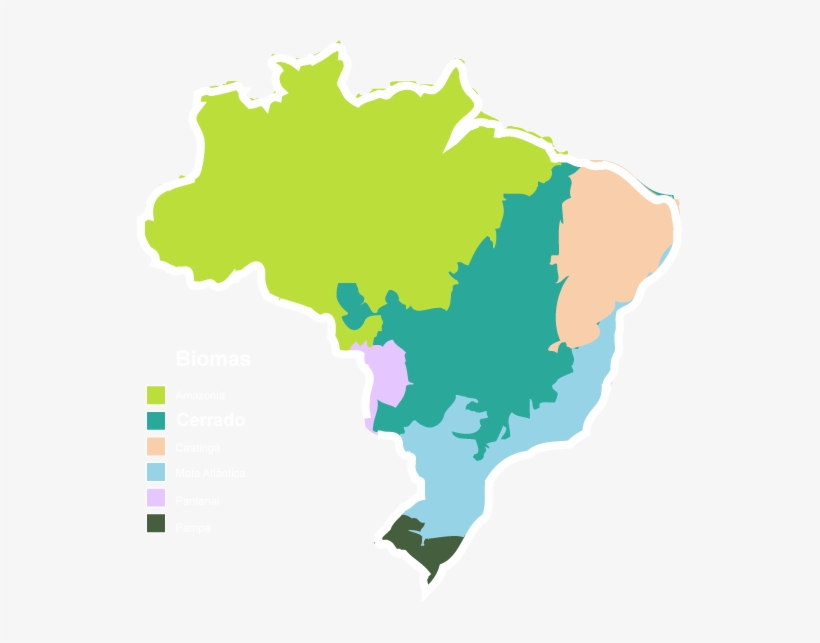 Biomasbrasileiros - Regiões Do Brasil Mapa, transparent png download