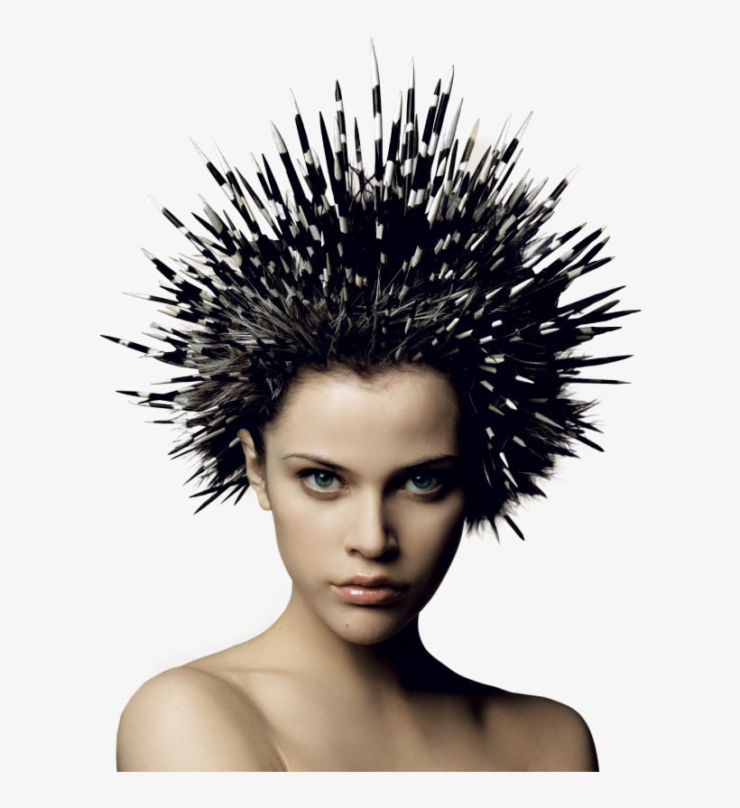 Istrice Homepage Mobile - Hair Punk Png, transparent png download