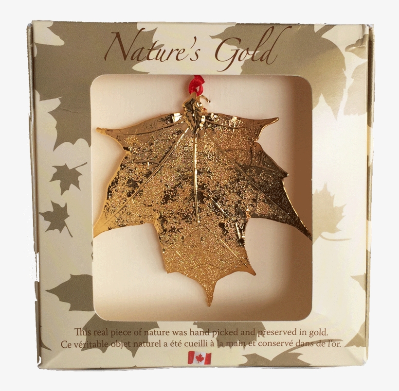 Maple Leaf, transparent png download