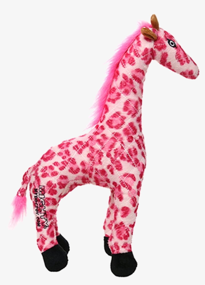 Giraffe, transparent png download